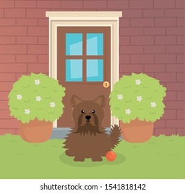 brown dog sitting backyard house with toy pet care vector illustration