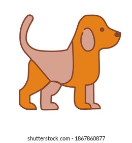 Brown dog standing, tail pointing up.