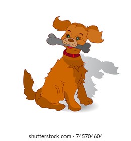 A brown dog in the teeth holds a bone, cartoon on a white background, vector.