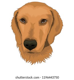 brown dog vector