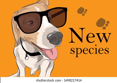 Brown dog wearing black glasses and yellow background