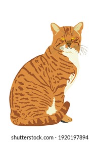 Brown domestic cat sitting vector illustration isolated on white background. Lovely kitty pet.