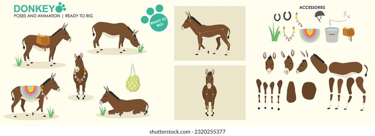 Braune Donkey-Vektorgrafik-Sammlung bereit für Animation und Rigg. Mehrere Posen und Winkel, Nutztiere, Wandern, Weiden.