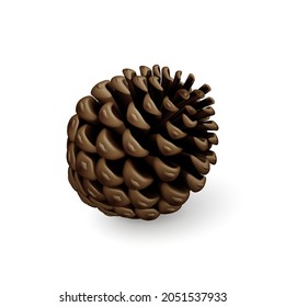 Brown Dry Pine Cone. Single Decorative Woody Fruit of a Conifer Tree. Christmas Decoration, Holiday Decorative Concept on White