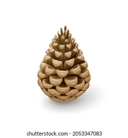 Brauner trockener Kiefernkone. Einziger dekorativer Woody-Früchte eines Nadelbaums. Weihnachtsdekoration mit Schatteneffekt, Feiertagsdekoratives Konzept auf weißem Hintergrund