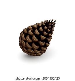Brauner trockener Kiefernkone. Einziger dekorativer Woody-Früchte eines Nadelbaums. Weihnachtsdekoration, Feiertagsdekorationskonzept auf weißem Hintergrund