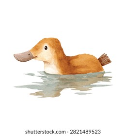Brown duck with bill in water