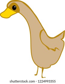 Brown Duck Vector Illustration Isolated