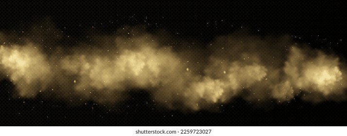 Brown dust, sand and smoke clouds. Effect of sandstorm, wind storm in desert or explosion with texture of flying dusty powder and dirt particles, vector realistic background. 3D Illustration