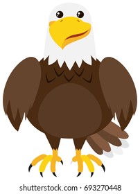 Brown Eagle On White Background Illustration