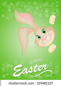 Brown Easter bunny looking out a blue background