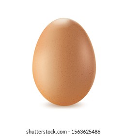 Brown egg on a white background, protein product, chicken egg. Vector.