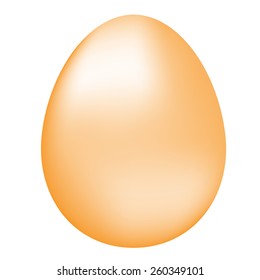 Brown egg with reflection on white background, vector 