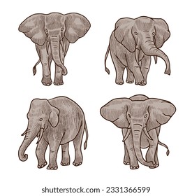 brown Elephant  vector illustration with shading consisting of three images