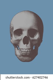 Brown engraving monochrome skull vector illustration in front view on blue background