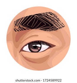 Ojo marrón en el círculo, Ilustración del vector de la pieza corporal humana
