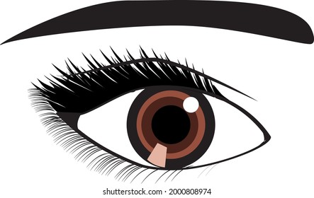 brown eye illustration for logo