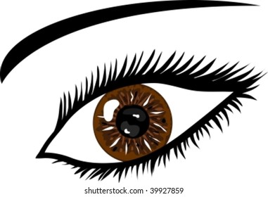Brown Eye with lashes