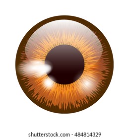 Brown eye, vector