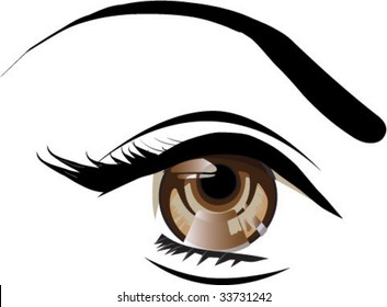 Brown eye vector illustration isolated.