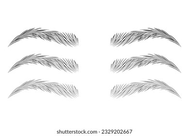 Brown eyebrows, Beauty industry, beautician parlor, salon sign design element. Hand-drawn vector perfect female eyebrow sketch illustration