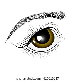 Brown eyes by hand . Isolated on white background.