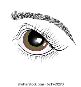 Brown eyes by hand . Isolated on white background.