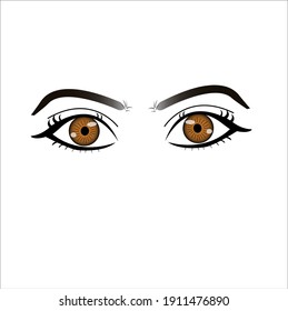 Brown eyes vector design illustration. brown eyes on white background