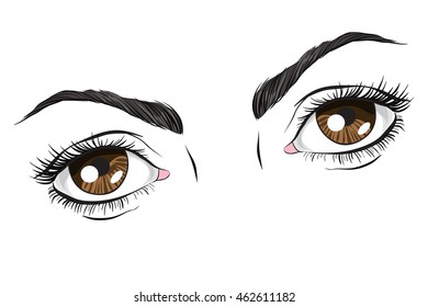 The brown eyes, vector illustration