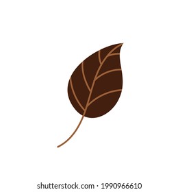 Brown fallen autumn leaf . Vector illustration. Design element for autumn holidays