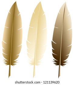 brown feathers set