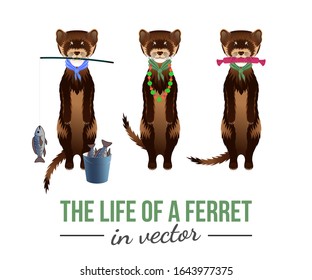 BROWN FERRETS WITH THEIR TOYS IN VECTOR