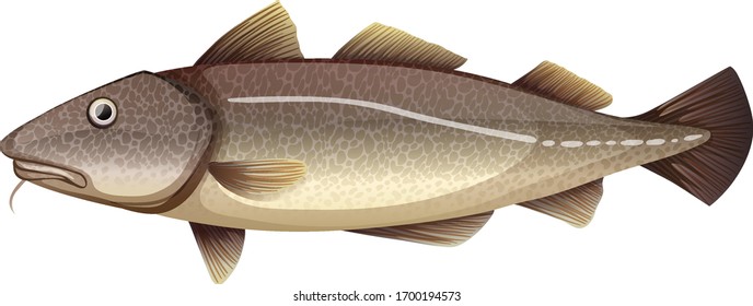 Brown fish on white background illustration