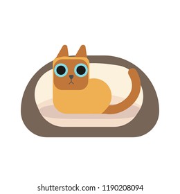 Brown flat cartoon cute cat on cat litter on wite background vector illustration flat desin