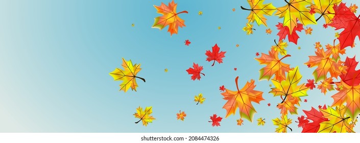 brauner floraler Hintergrund blauer Vektorgrafik. Bleiche Waldkarte. Gelbe Designanlage. Saisonleaf-Illustration.