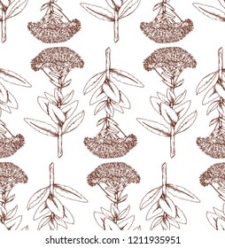 Brown floral pattern on a white background, isolated in graphic style, stock vector illustration for design and decor, wrapping paper, fabrics, douche, scrapbooking