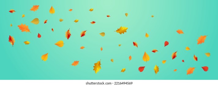 Brown Floral Vector Blue Panoramic Background. October Foliage Illustration. Ocher Collection Leaf Design. Flying Texture.
