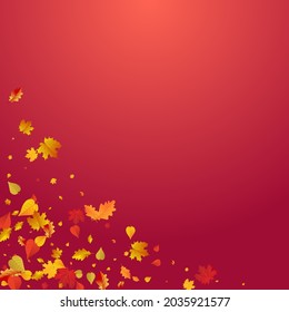 Brown Floral Vector Red Background. Decor Leaves Template. Autumnal Season Foliage Texture. Celebrate Card.
