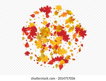 Fondo transparente del vector floral marrón. Resumen deja textura. Ilustración colorida de hojas canadienses. Tarjeta de papel.