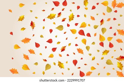 Brown Floral Vector Transparent Background. Tree Plant Illustration. Autumnal Forest Foliage Frame. November Design.