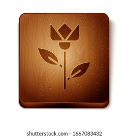 Icono de tulipán de flor marrón aislado en fondo blanco. Botón cuadrado de madera. Ilustración vectorial