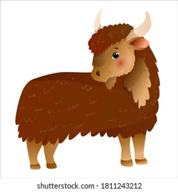 Brown fluffy bull, yak or buffalo drawn in cartoon style. Vector illustration isolated on white background