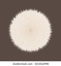 Brown Fluffy Vector Hair Ball