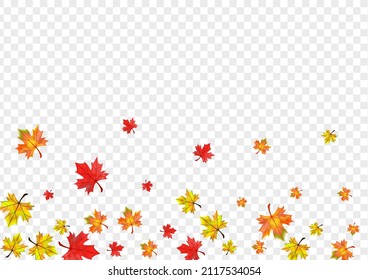 Brown Foliage Background Transparent Vector. Plant Design Illustration. Autumnal Nature Floral. Canadian Leaves Texture.