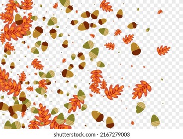 Brown Foliage Background Transparent Vector. Leaves Decorative Frame. Orange Herb. Modern Set. Yellow Oak Cartoon.