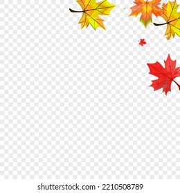 Brown Foliage Background Transparent Vector. Floral Flying Frame. Ocher November Plant. October Leaf Template.