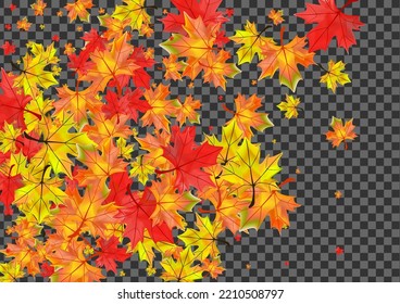 Brown Foliage Background Transparent Vector. Leaf Paper Template. Yellow September Plant. Canadian Floral Texture.