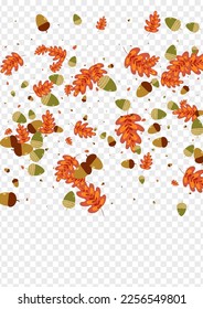 Brown Foliage Background Transparent Vector. Leaves Forest Set. Gold Acorn. Season Design. Golden Leaf Vibrant.
