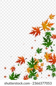 Brown Foliage Background Transparent Vector. Leaf Giving Template. Colorful Seasonal. Canadian Pattern. Yellow Maple Flag.