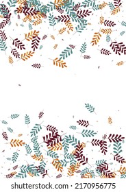 brauner Blatthintergrund, weißer Vektorgrafik. Leaf Fly Illustration. Grüne Kraut. Red Plant Outline. Schulrahmen.